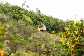 Paradise Glamping